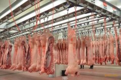 肉类冷冻库安装造价影响因素，100吨海鲜冷库建造需要多大面积